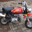 Monkey 50 Lifan - Kovboj